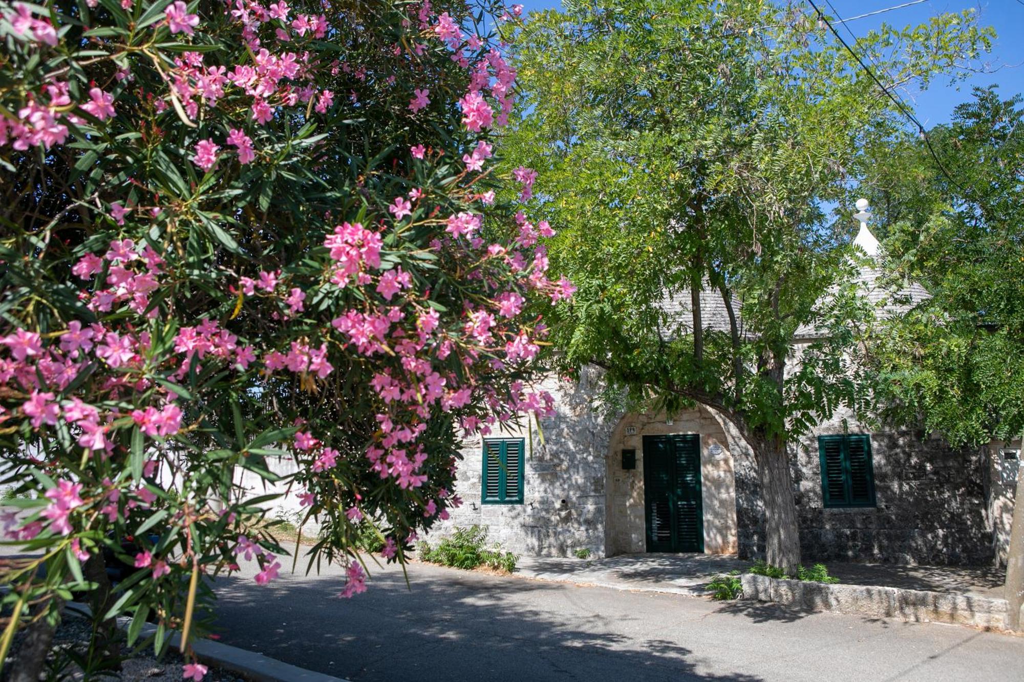 Angolo Di Puglia Locorotondo Exterior foto